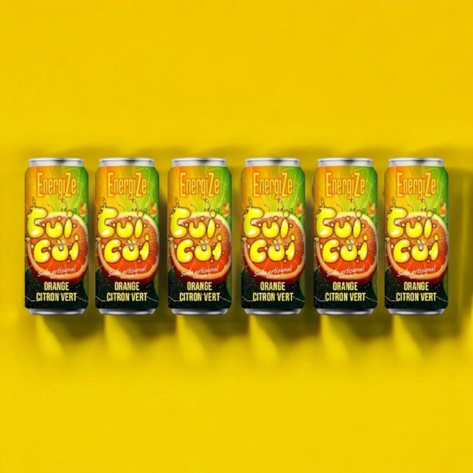 Box "ENERGIZE" 6 Energize Orange - Citron vert 33 CL